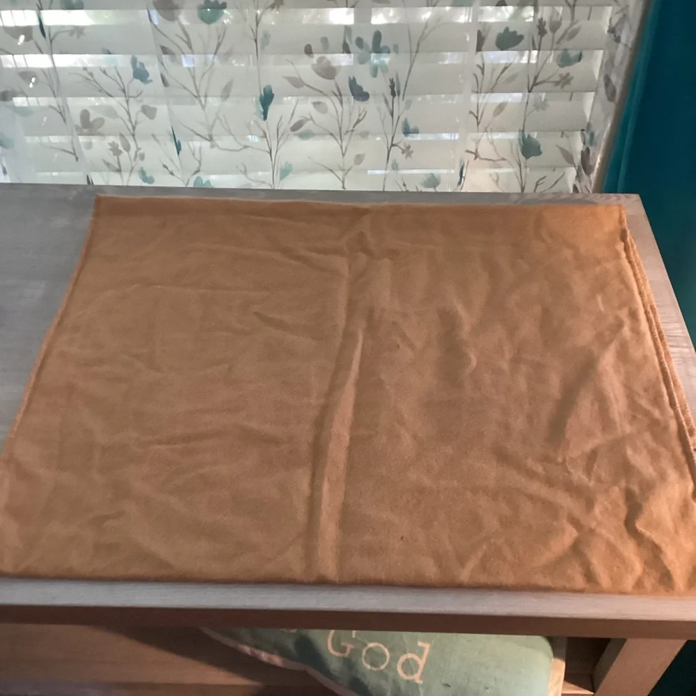 Louis Vuitton Tan Dust Bag
